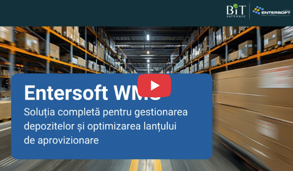 Entersoft WMS Module si functionalitati